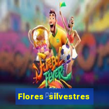 Flores silvestres brasileiras 25